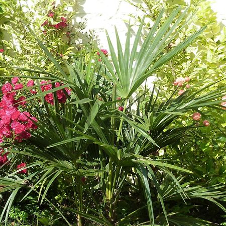 مبيت وإفطار لا مادلين A La Fleur D Oranger - Lille La Madeleine المظهر الخارجي الصورة